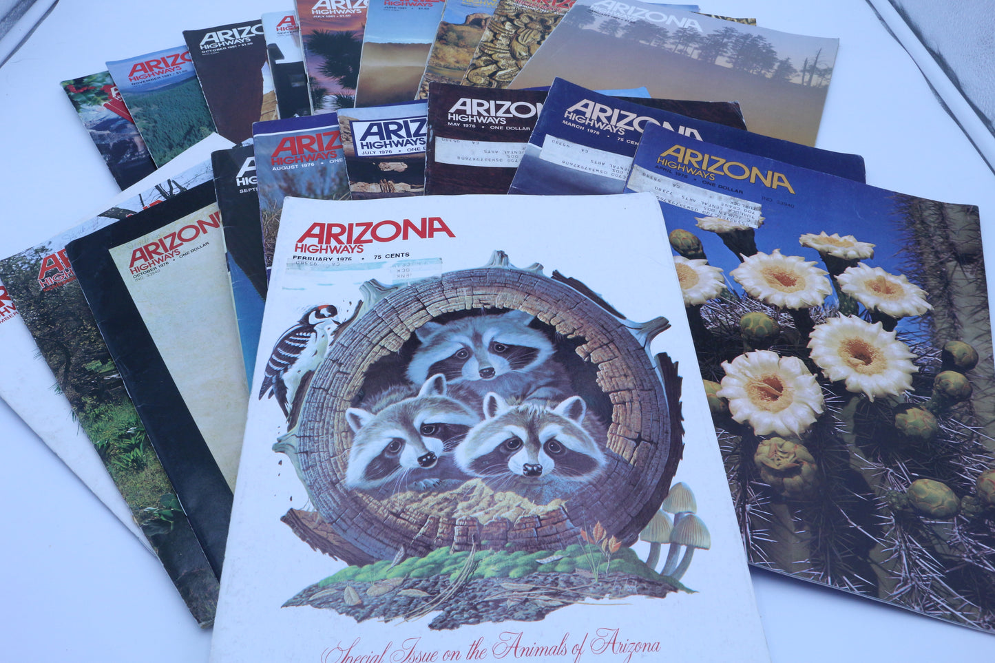Arizona Magazines – Discover, Create, and Embrace a Zero-Waste Lifestyle