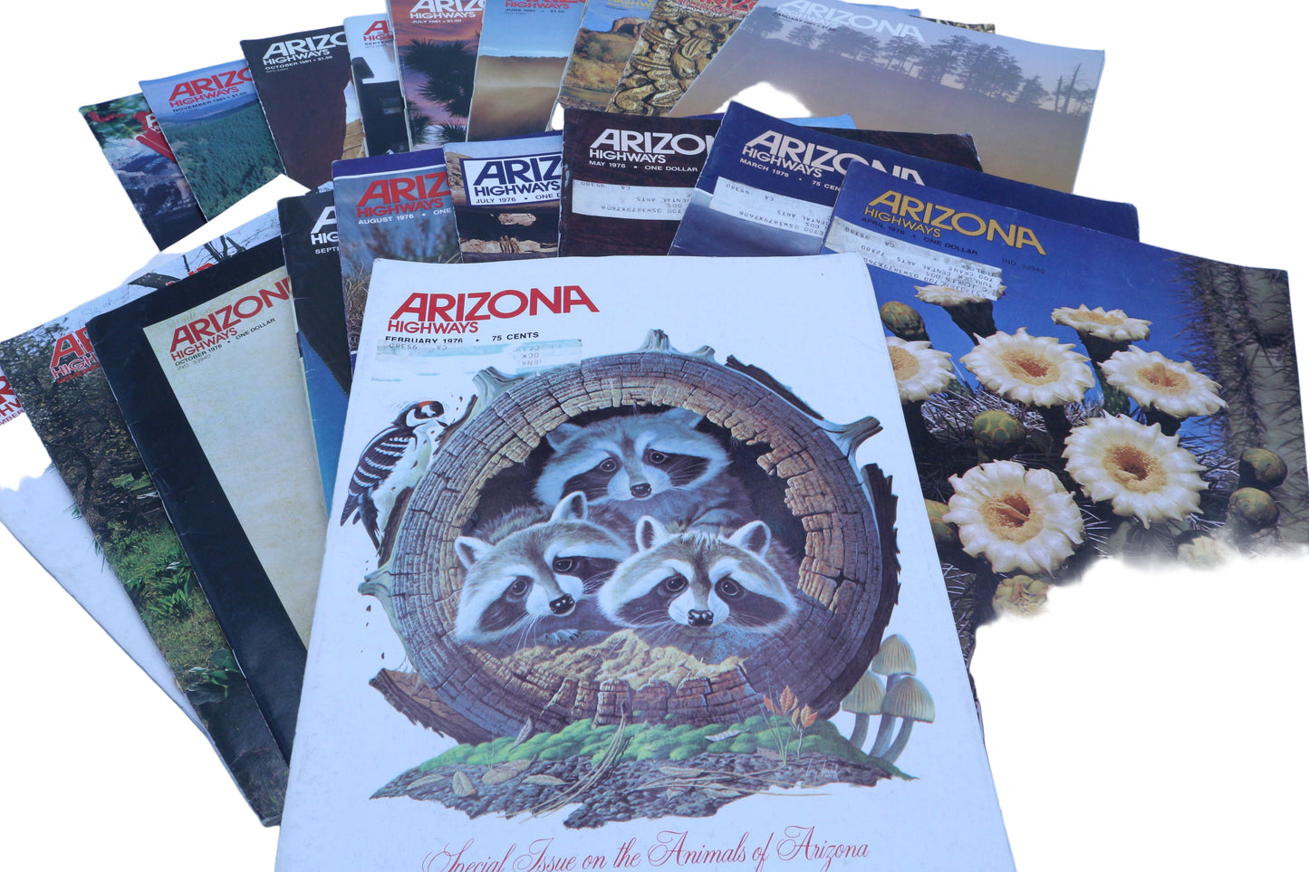 Vintage Arizona Magazines – Picked at Random 🌵📖