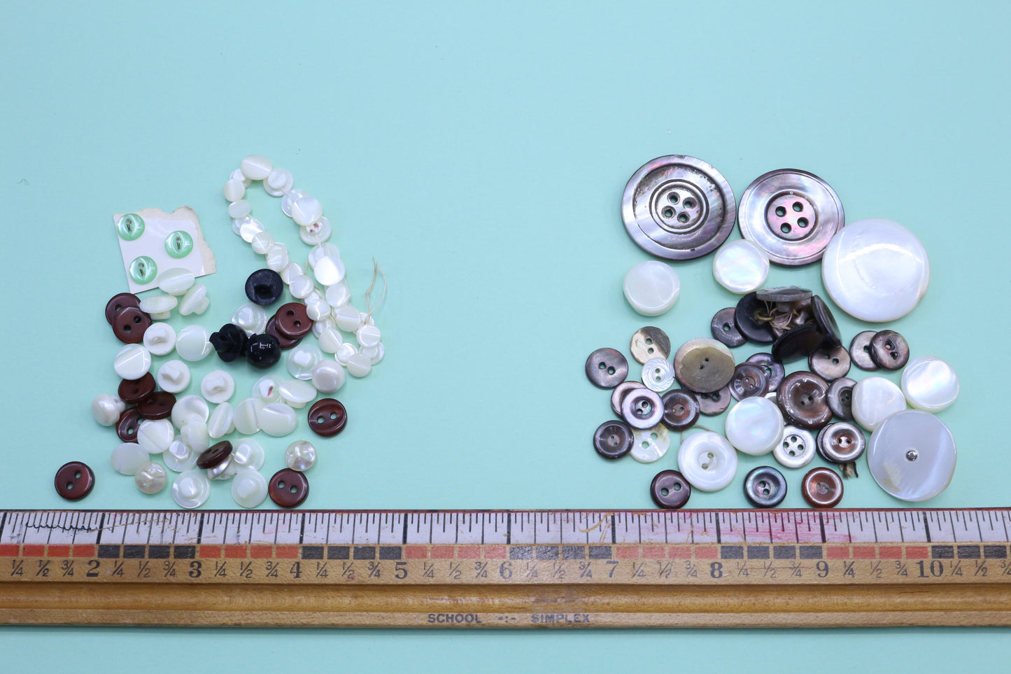 Button Bundles Smalls or Variety Shell Bundle