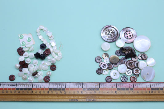 Button Bundles Smalls or Variety Shell Bundle