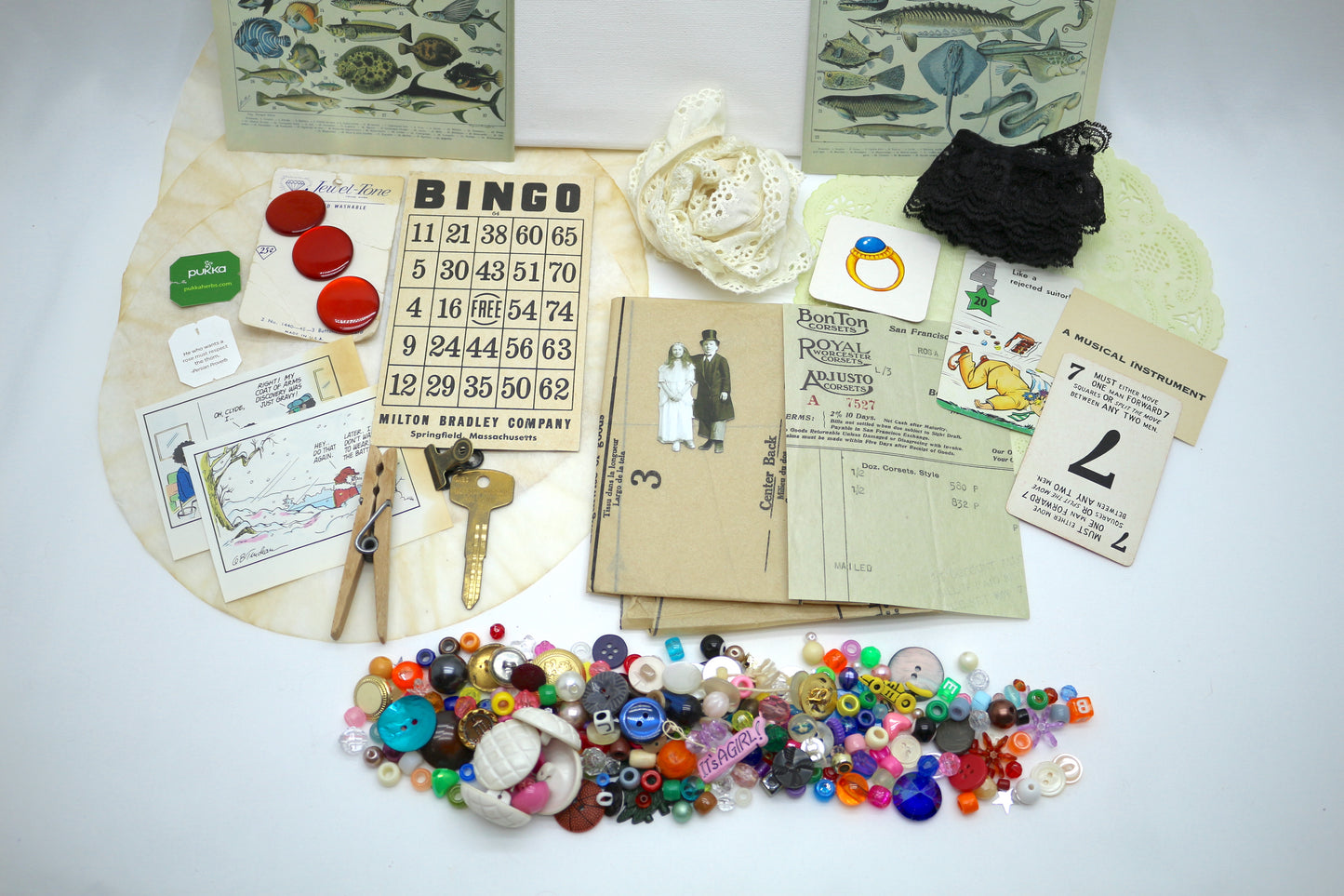 Curated Collage Kit Poisonous Fish, Mixed Media, Art Supplies, Destash , paper, vintage, each bag unique curated ephemera