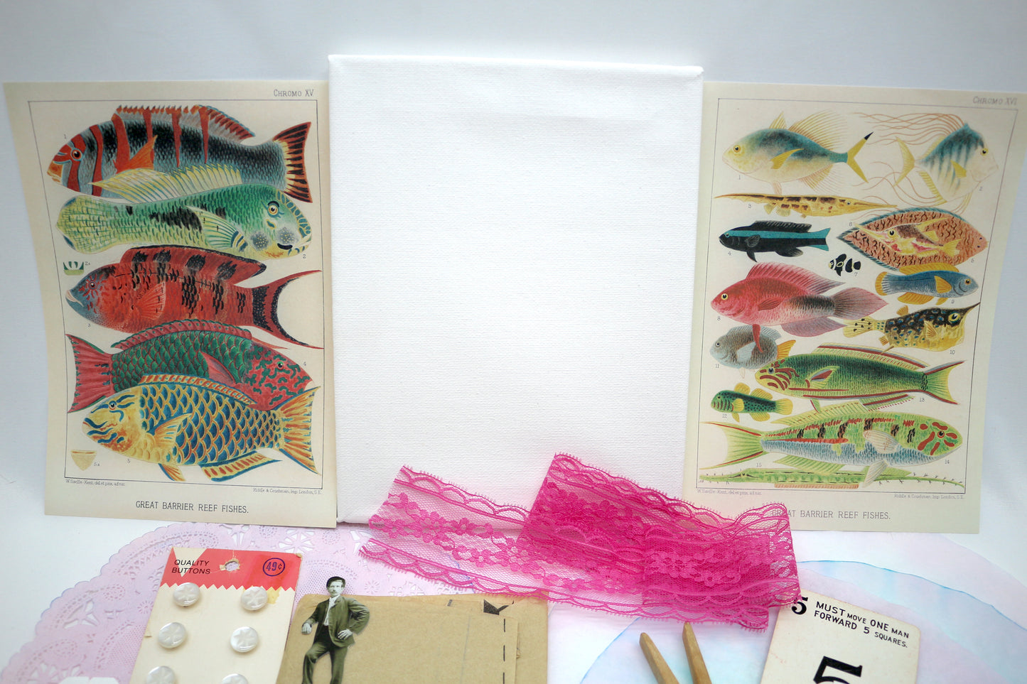 Curated Collage Kit Coral Reef Fish, Mixed Media, Art Supplies, Destash , paper, vintage, each bag unique curated ephemera