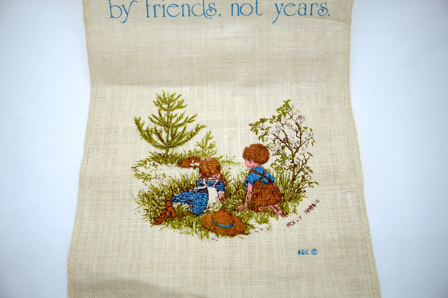 Holly Hobbie Wall Hanging