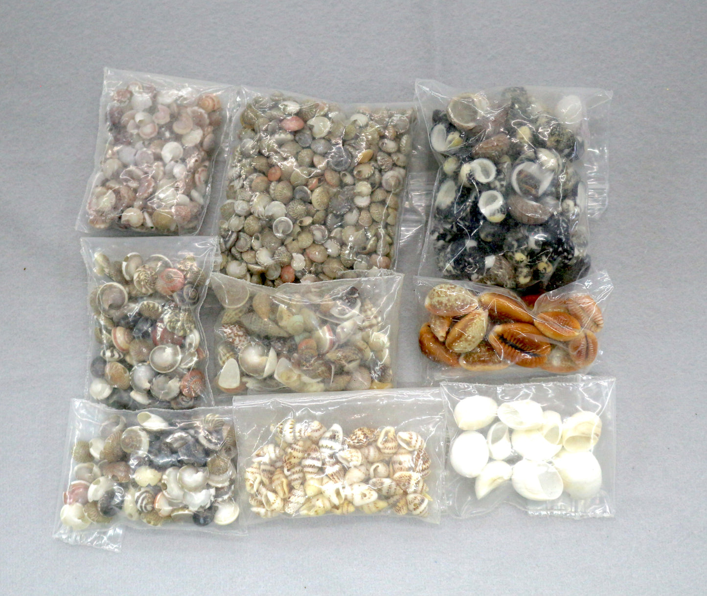 Assorted Seashell Craft Lot – 10 Bags
