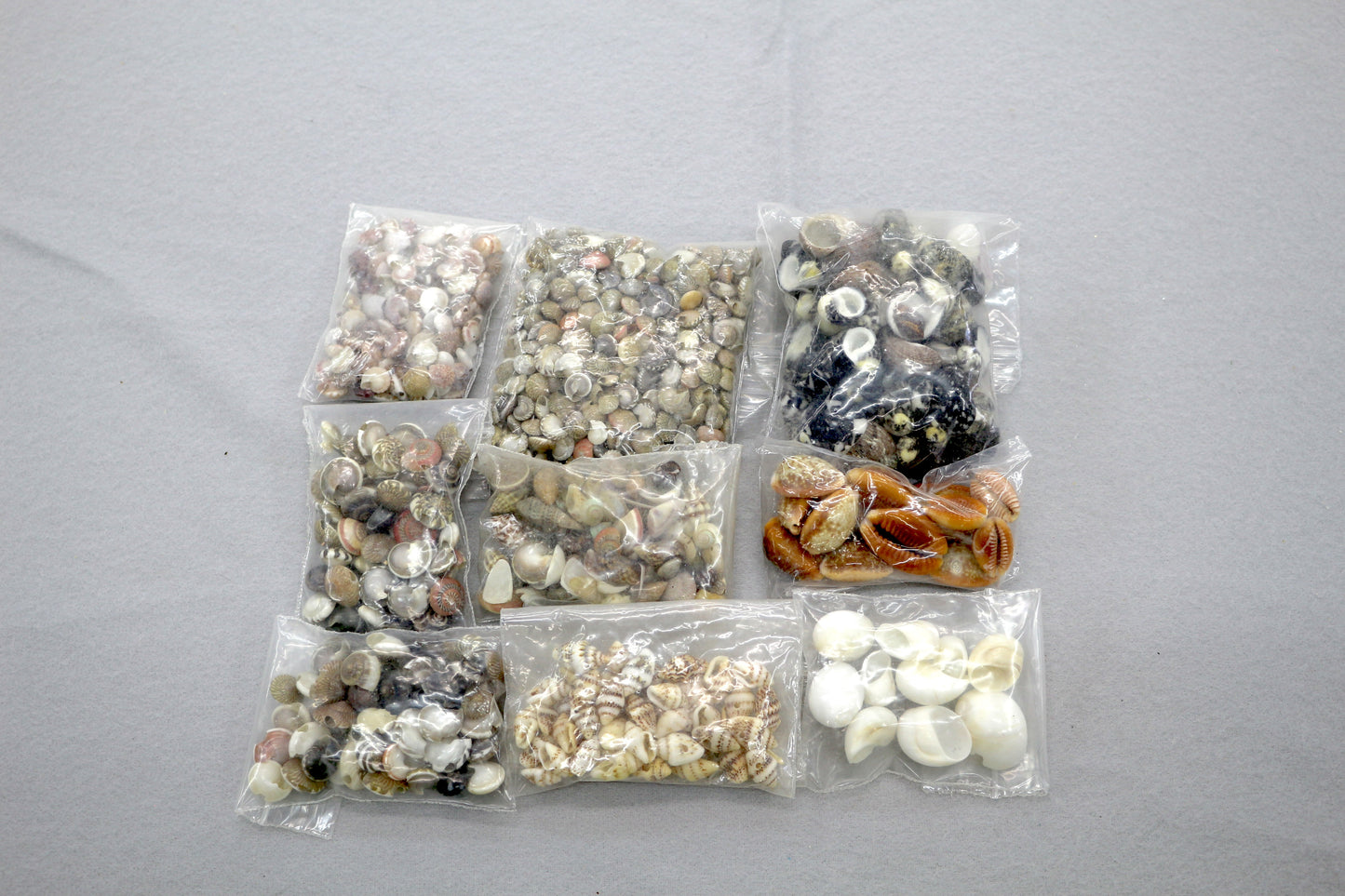 Assorted Seashell Craft Lot – 10 Bags