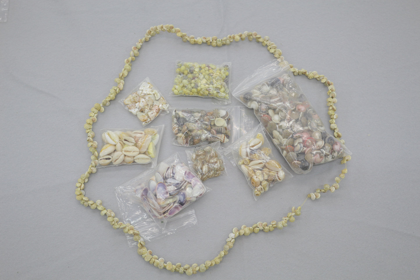 Assorted Seashell Craft Lot