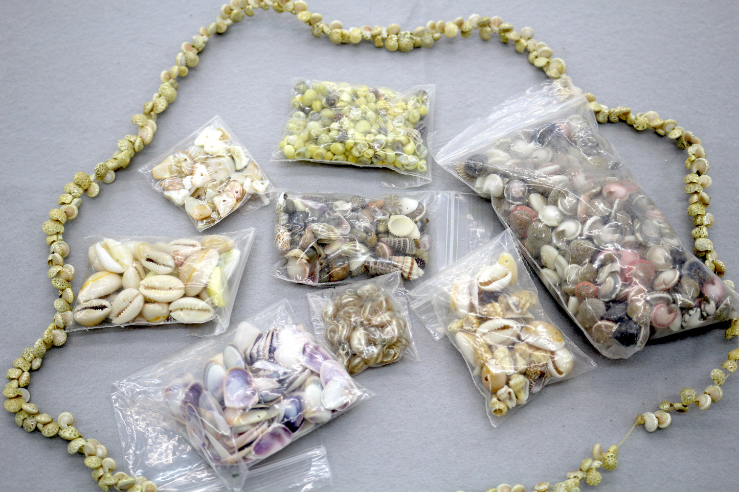 Assorted Seashell Craft Lot