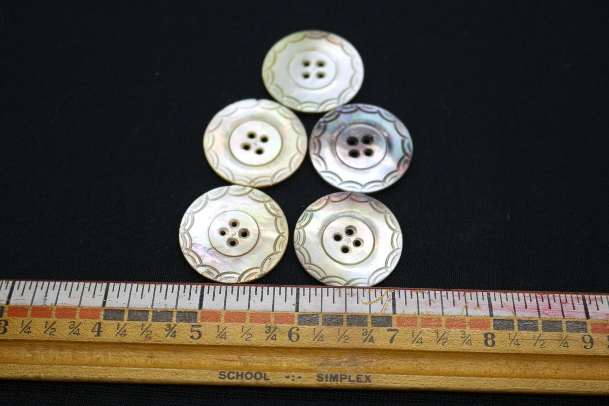 Set of 5 Oyster Shell Buttons