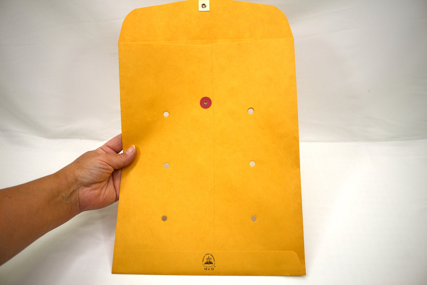 Interdepartmental Delivery Envelopes 10"x 13"