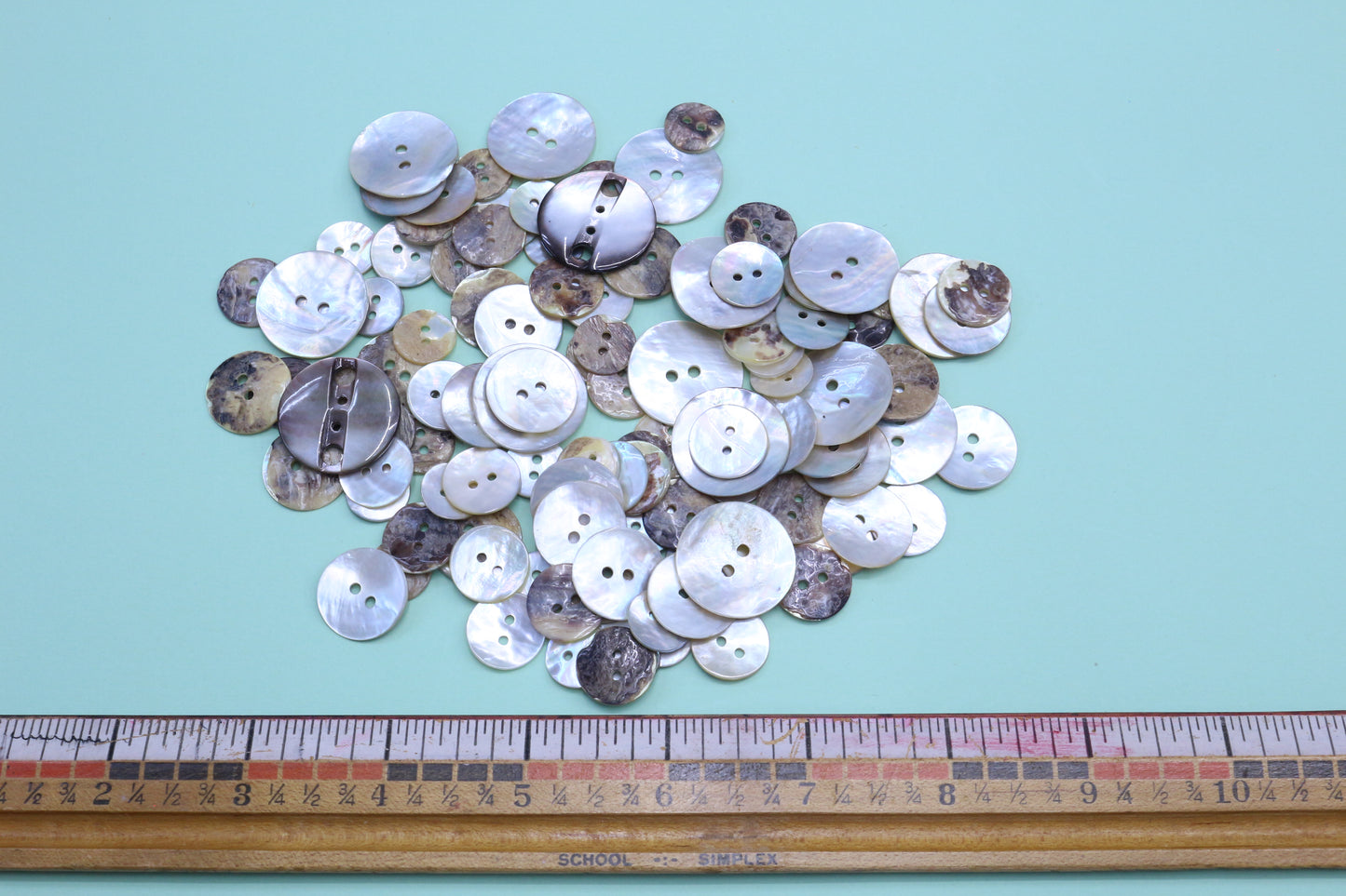 Vintage Shell Button Bundle
