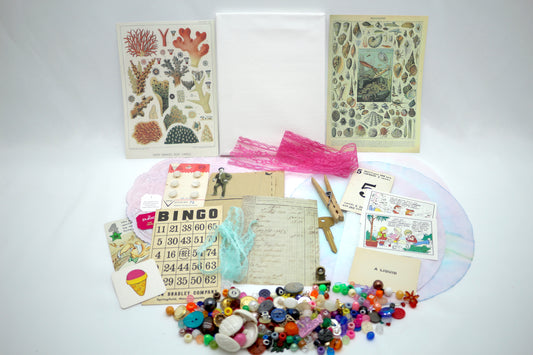 Curated Collage Kit Reef Corals or Mollusques, Mixed Media, Art Supplies, Destash , paper, vintage, each bag unique curated ephemera
