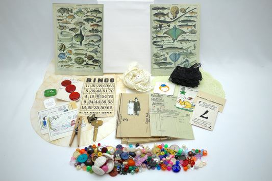 Curated Collage Kit Poisonous Fish, Mixed Media, Art Supplies, Destash , paper, vintage, each bag unique curated ephemera