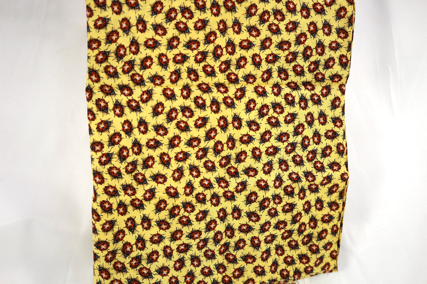 Ladybugs in the Garden Cotton Fabric 44" x 2 yds