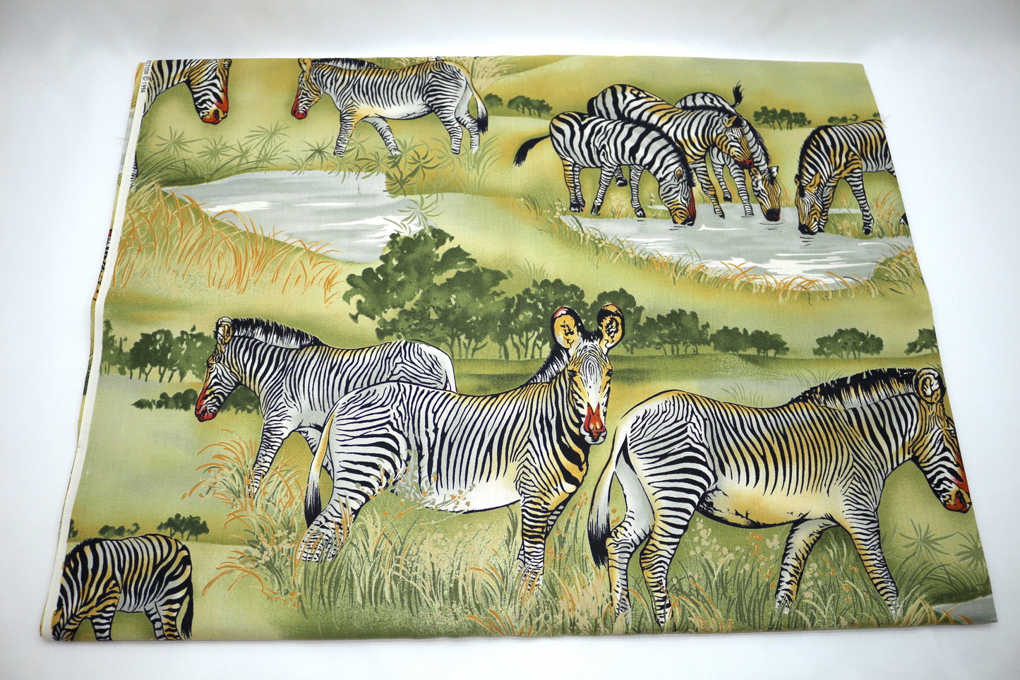 Zebras Grazing the Grass Cotton Fabric 44" x 3.25 yds