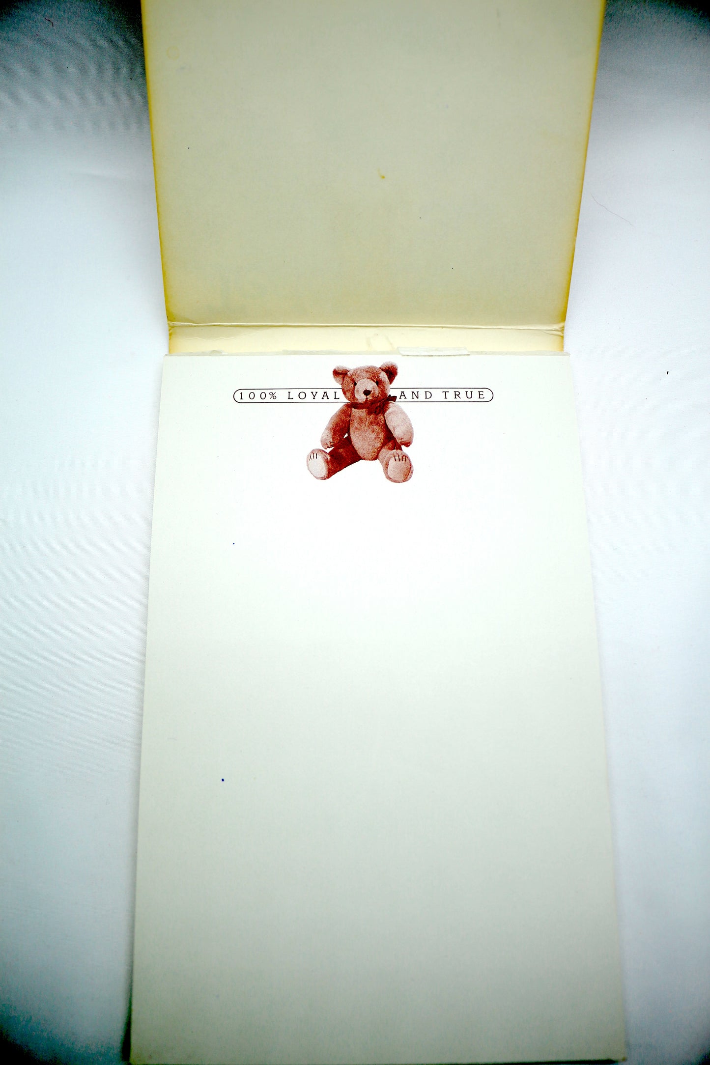 Teddy Bear Notepad