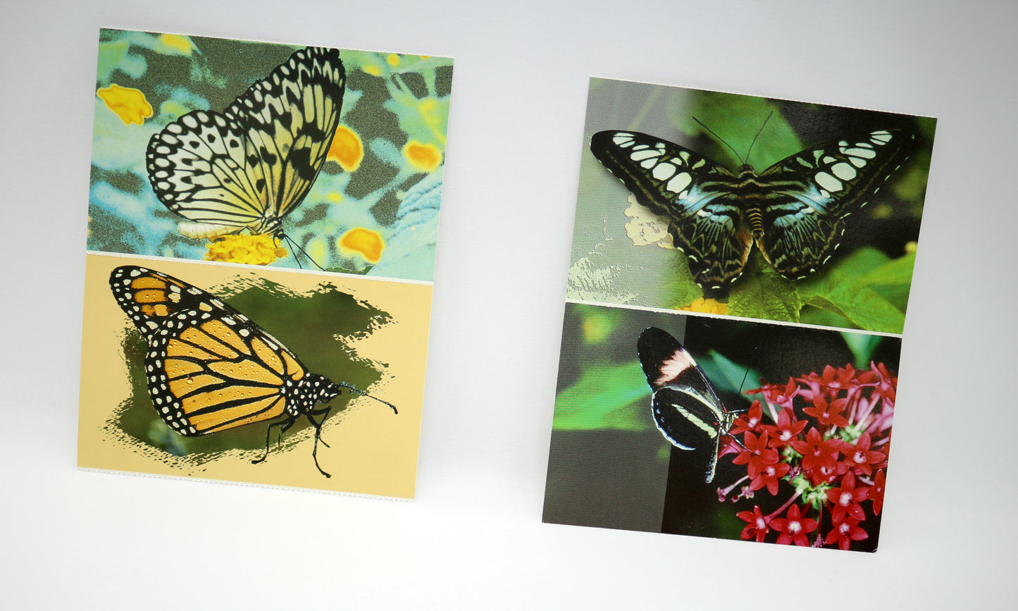 Niagara Falls Butterfly Conservatory Postcard Set of 4