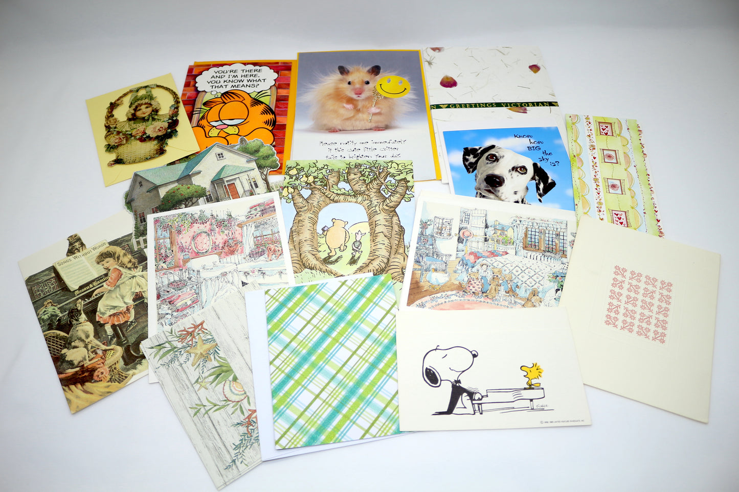 Variety Greeting Card Packs, Snail Mail