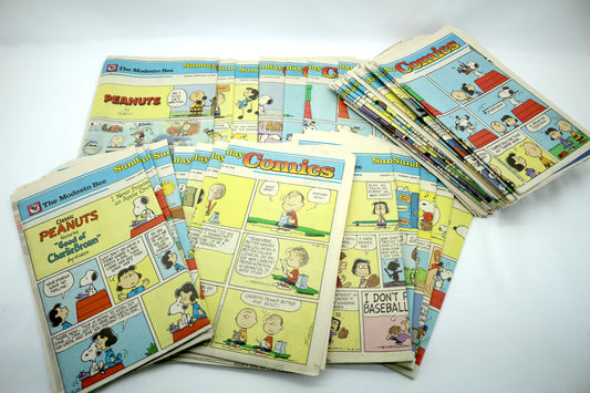 1- Newspaper Comic Strip Section (Year 2000)