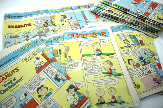 1- Newspaper Comic Strip Section (Year 2000)