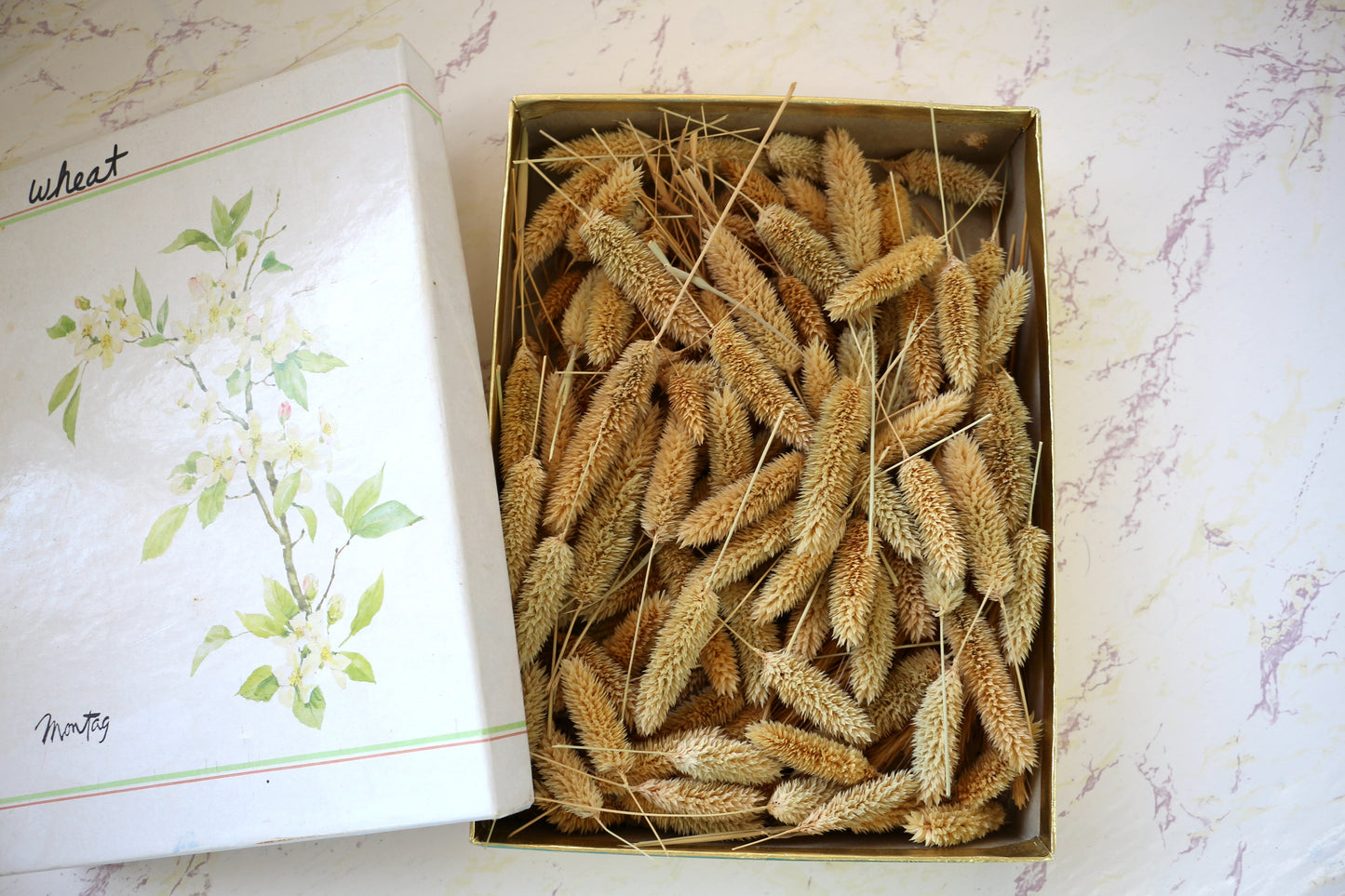 Dried Wheat – Perfect for Crafting & Decorating