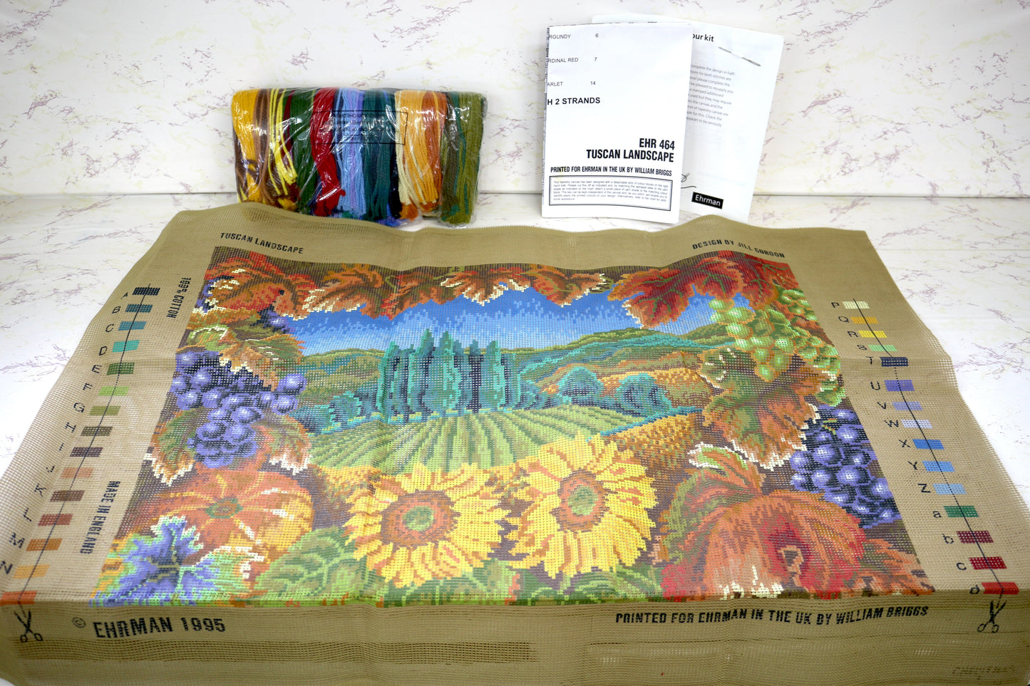 Tucson Landscape Needlepoint Kit – Capture the Beauty of the Southwest!