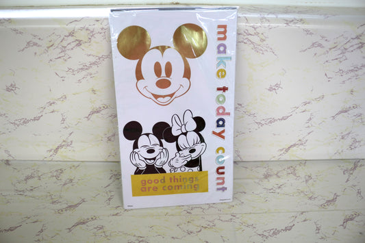 Happy Planner Mickey Mouse Sticker Sheets