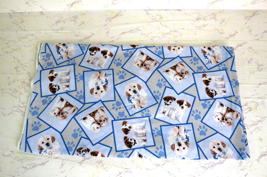 1.25 yards by 44" Doggy Photo Shoot Cotton Fabric