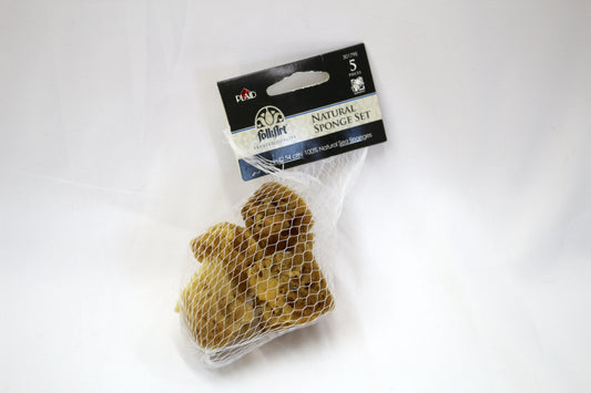 Folk Art Sponge Pack