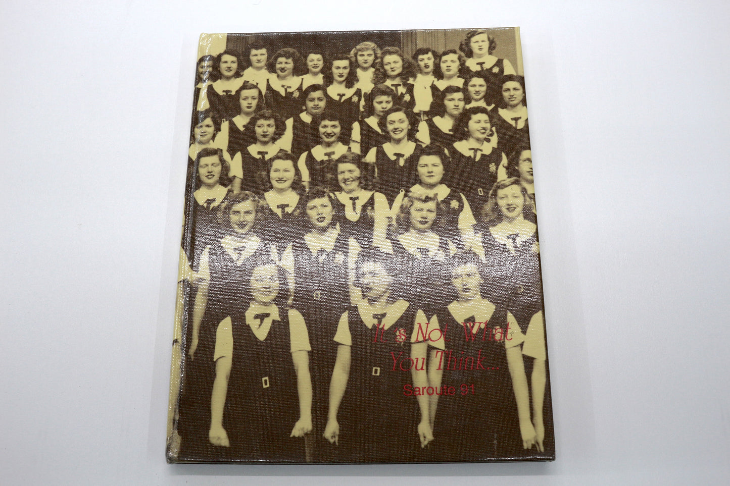 1991 Notre Dame High School Yearbook