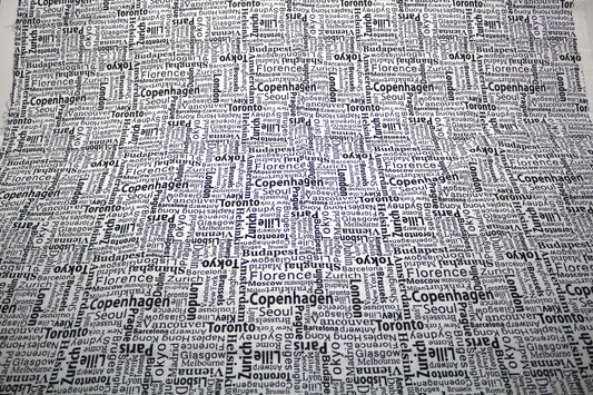 City Name Flannel Fabric – 44" x 1 Yard
