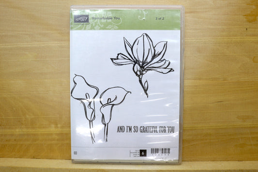 Stampin’ Up! Stamp Sets- Remarkable You Set of 2