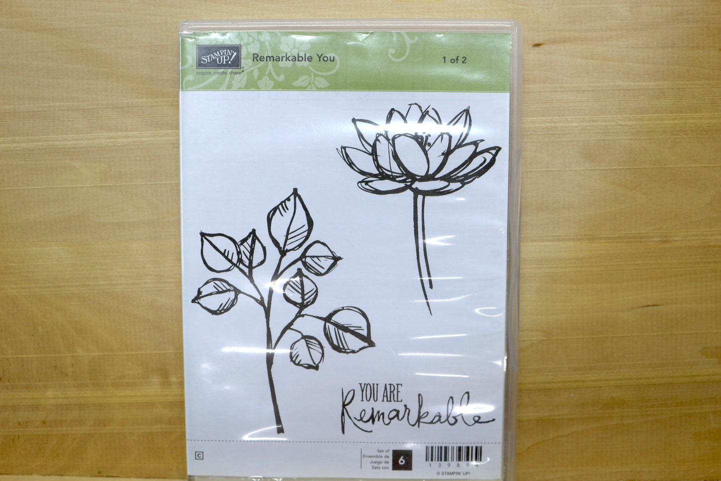 Stampin’ Up! Stamp Sets- Remarkable You Set of 2