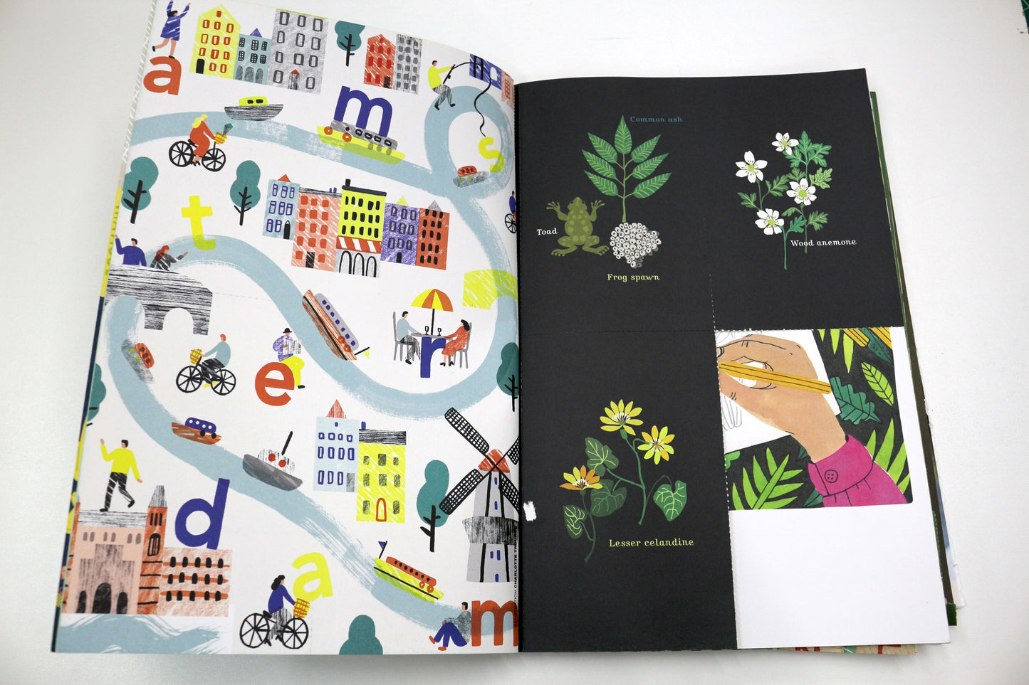 Flow Book of Posters &amp; Cards – Paper Craft Delight ✂️📬