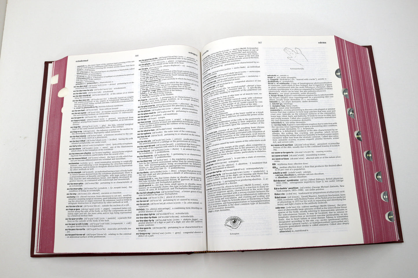 Dorland’s Illustrated Medical Dictionary – 29th Edition (Hardcover)