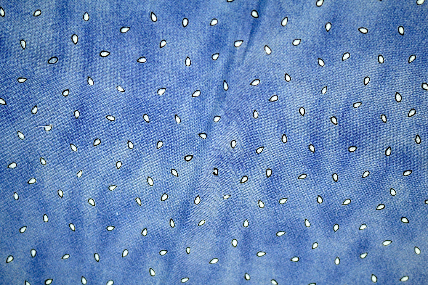 Blue Seeds Cotton Fabric 44" x 1 yd