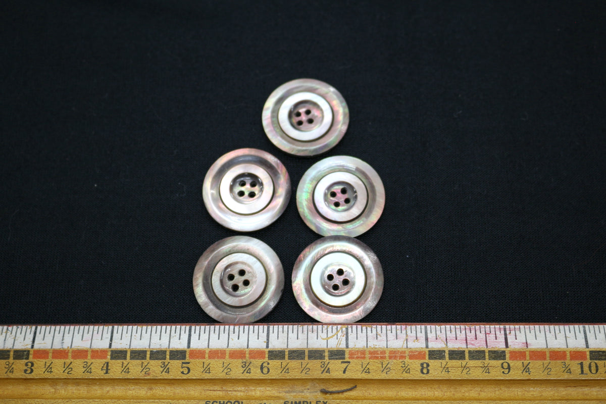 Set of 5 Oyster Shell Buttons