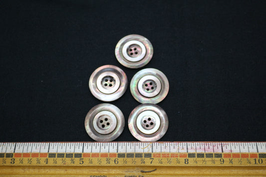 Set of 5 Oyster Shell Buttons