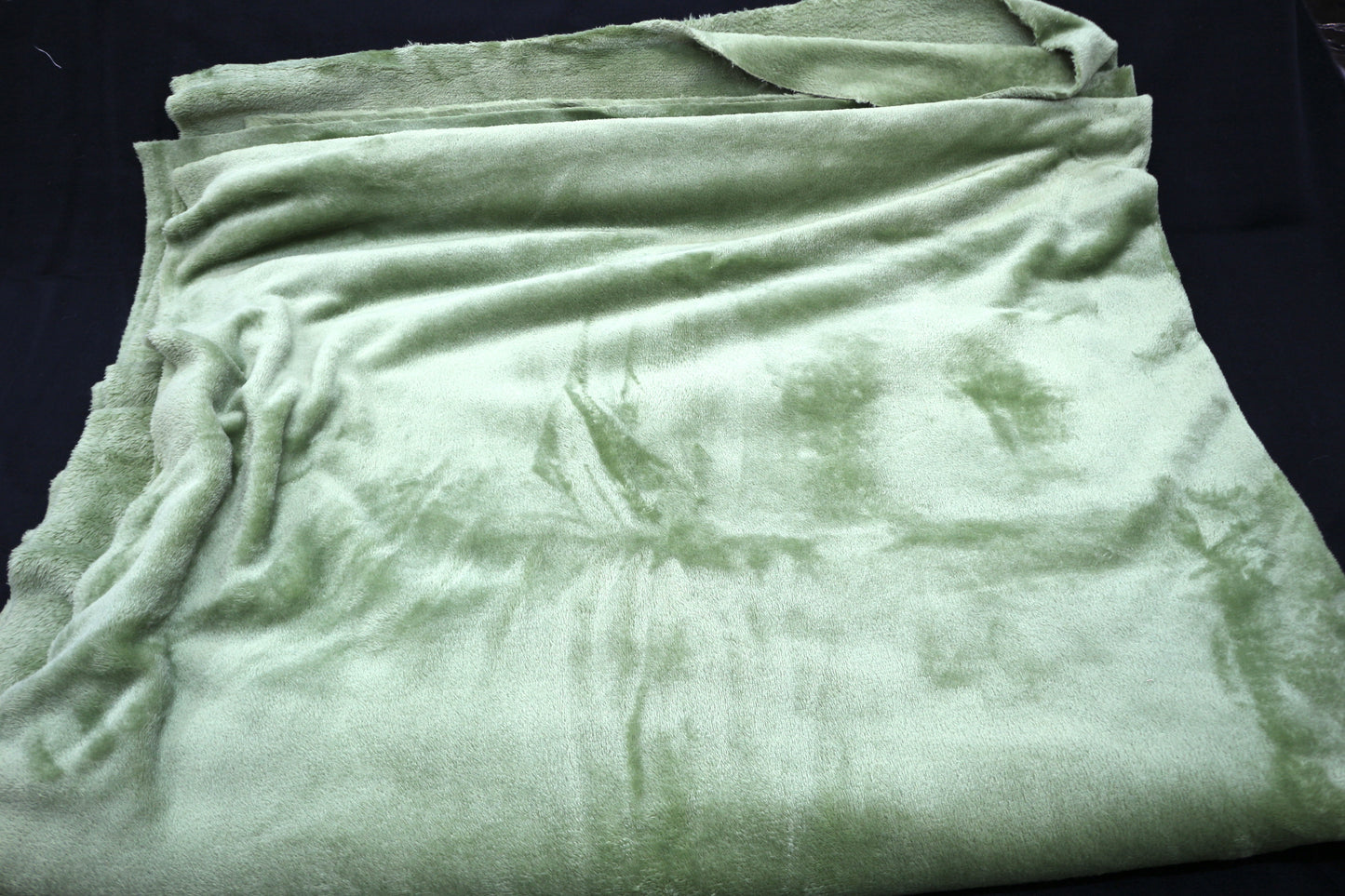 Dinosaur Green High Pile Minky Fabric 61" x 2.75 yds