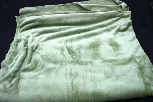 Dinosaur Green High Pile Minky Fabric 61" x 2.75 yds